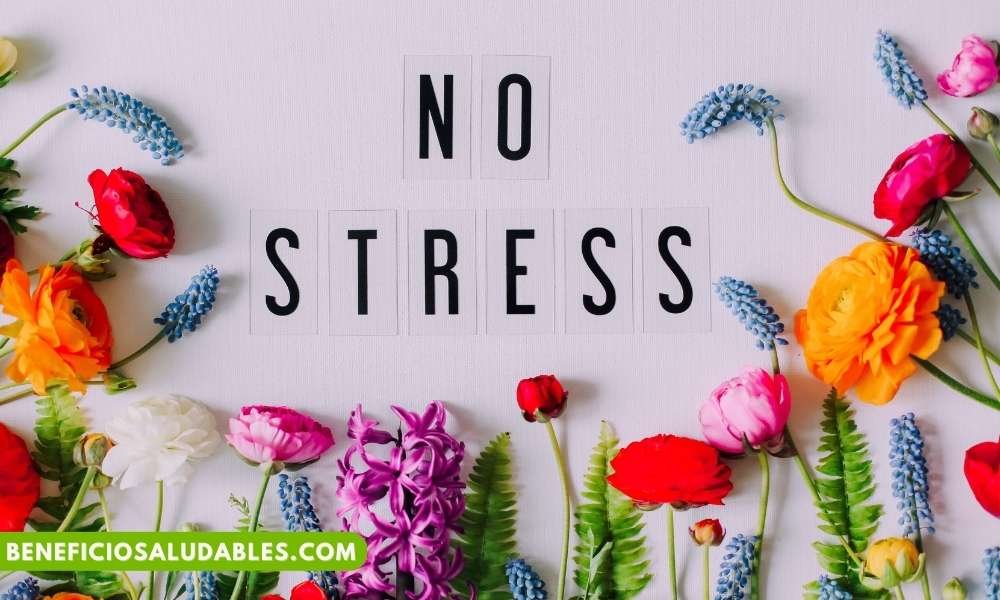 NO STRESS - BENEFICIOSALUDABLES.COM